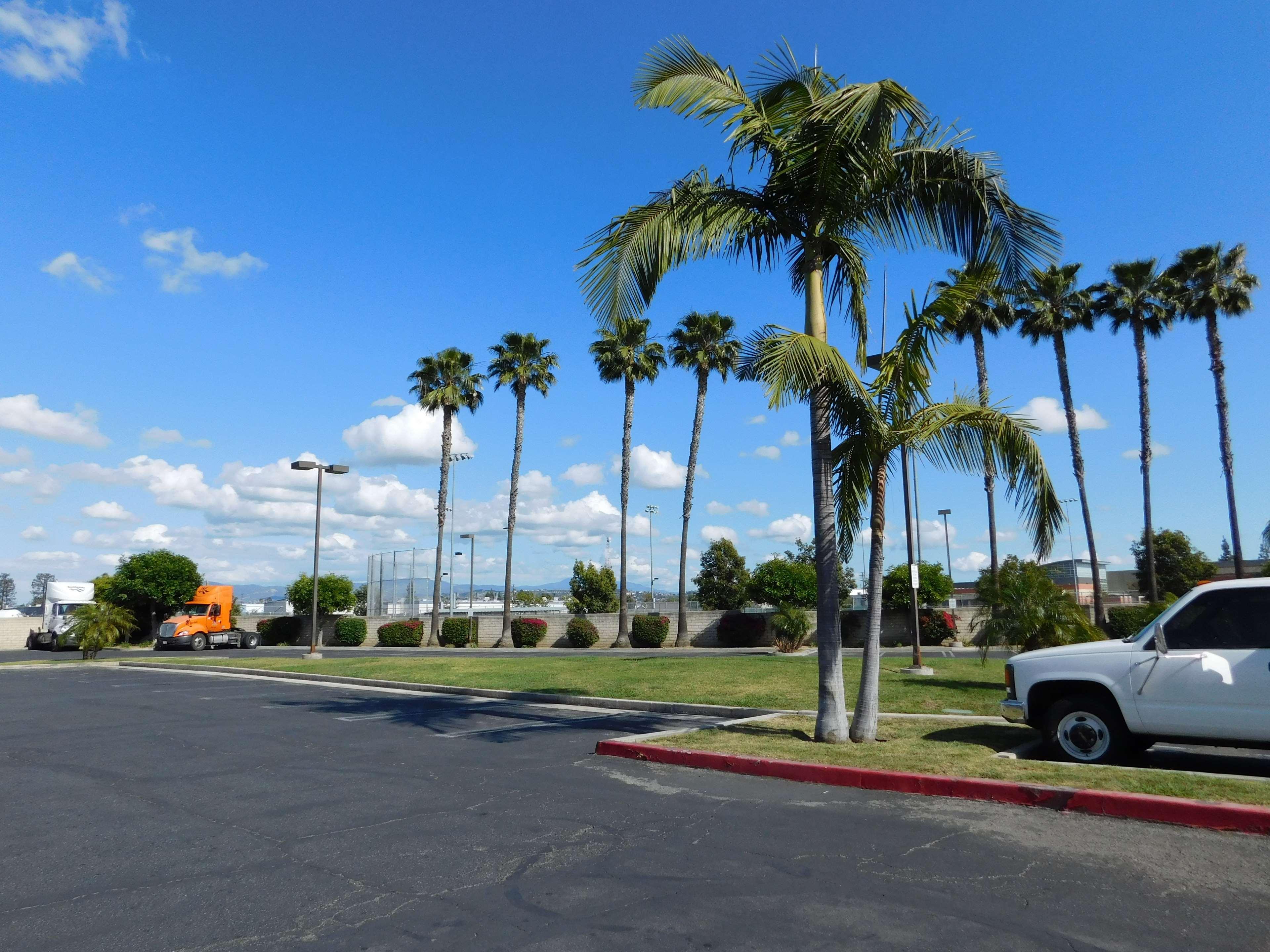 Best Western Plus - Anaheim Orange County Hotel Placentia Luaran gambar